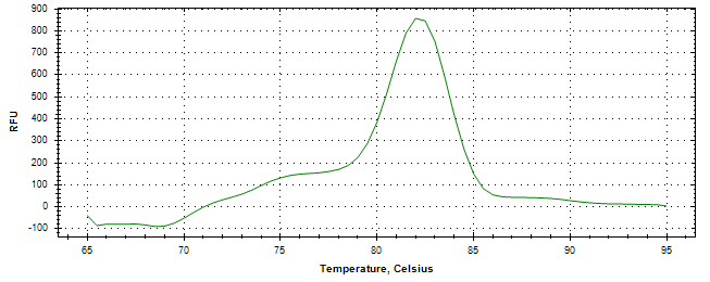 Melt curve analysis of above amplification.