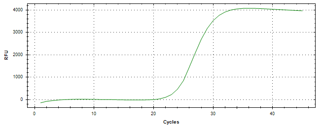 Amplification of cDNA generated from universal RNA.