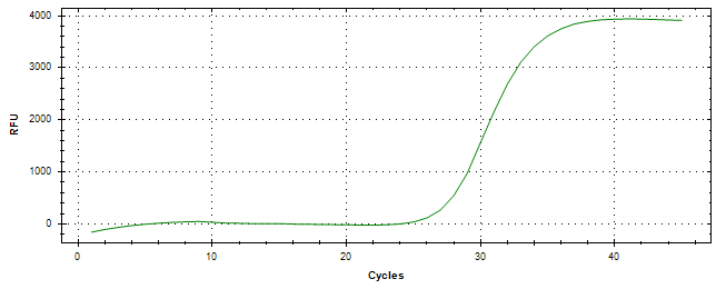 Amplification of cDNA generated from universal RNA.