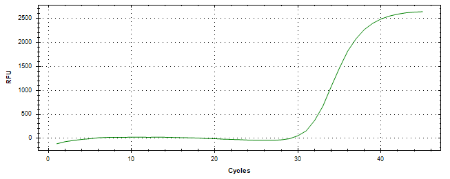 Amplification of cDNA generated from universal RNA.