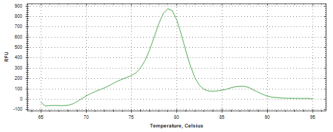 Melt curve analysis of above amplification.