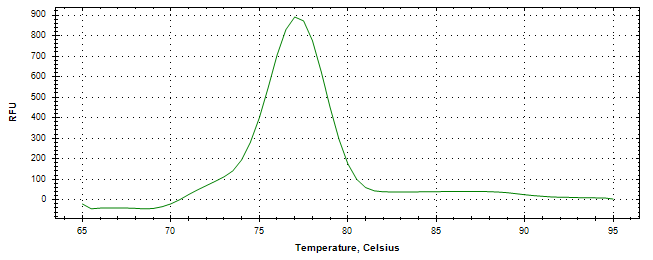 Melt curve analysis of above amplification.