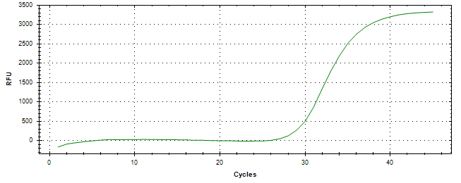 Amplification of cDNA generated from universal RNA.