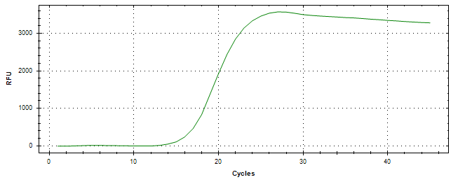 Amplification of cDNA generated from universal RNA.