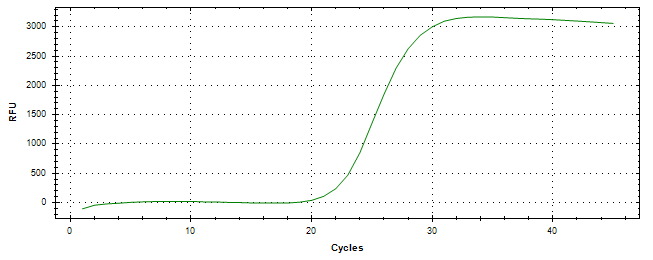 Amplification of cDNA generated from universal RNA.