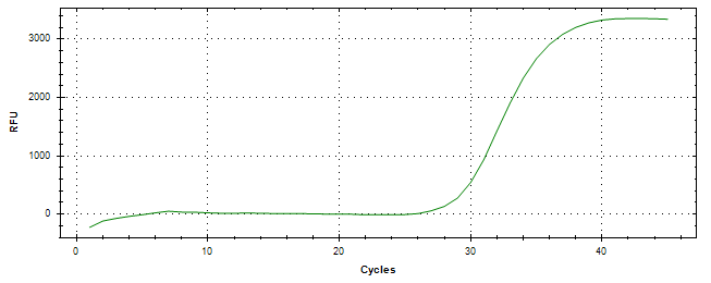 Amplification of cDNA generated from universal RNA.