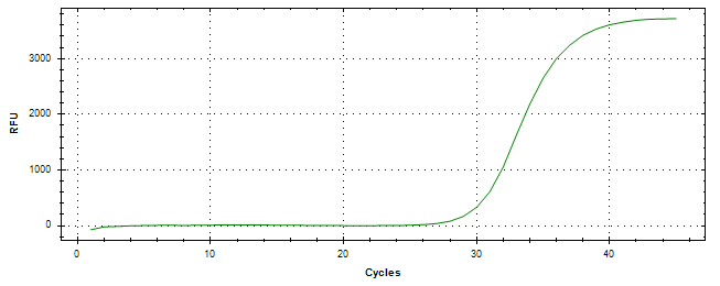 Amplification of cDNA generated from universal RNA.