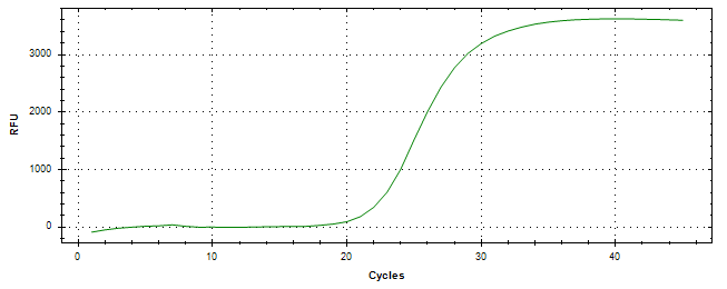 Amplification of cDNA generated from universal RNA.