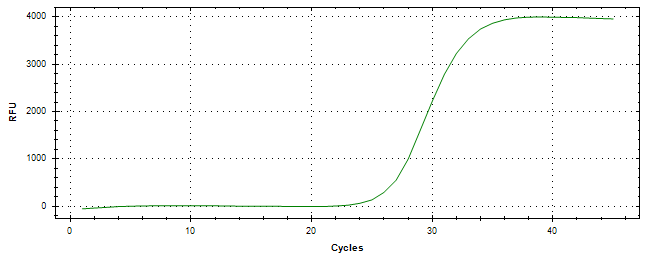 Amplification of cDNA generated from universal RNA.