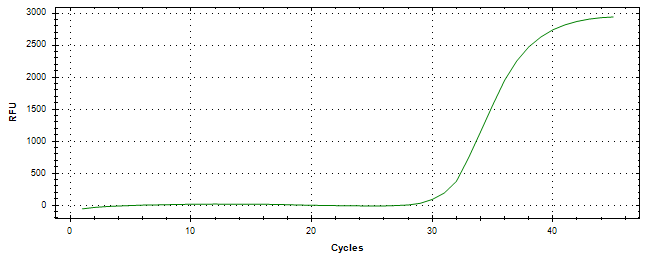 Amplification of cDNA generated from universal RNA.
