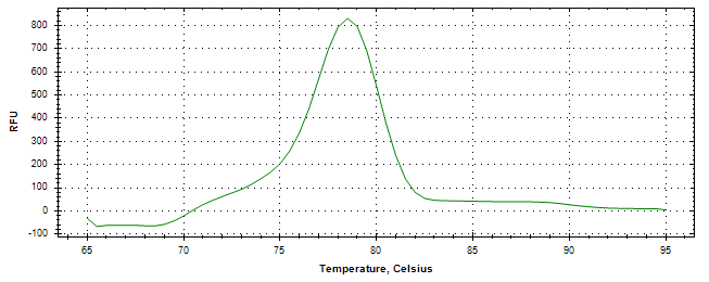 Melt curve analysis of above amplification.