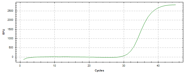 Amplification of cDNA generated from universal RNA.