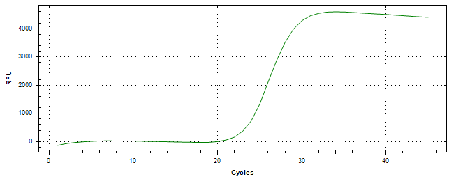 Amplification of cDNA generated from universal RNA.