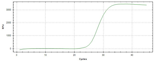 Amplification of cDNA generated from universal RNA.