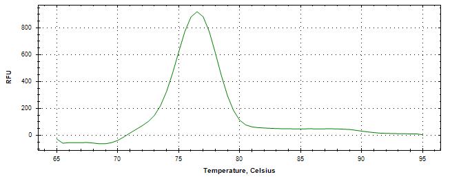 Melt curve analysis of above amplification.