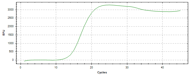 Amplification of cDNA generated from universal RNA.