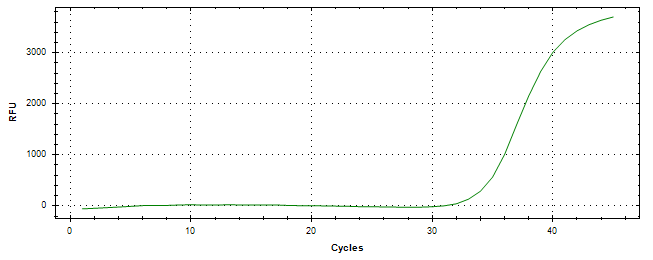 Amplification of cDNA generated from universal RNA.