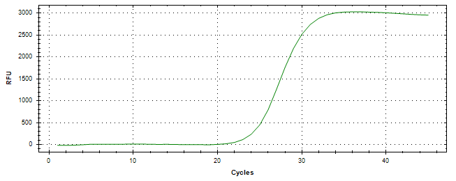 Amplification of cDNA generated from universal RNA.