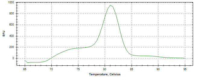 Melt curve analysis of above amplification.