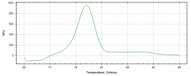 Melt curve analysis of above amplification.