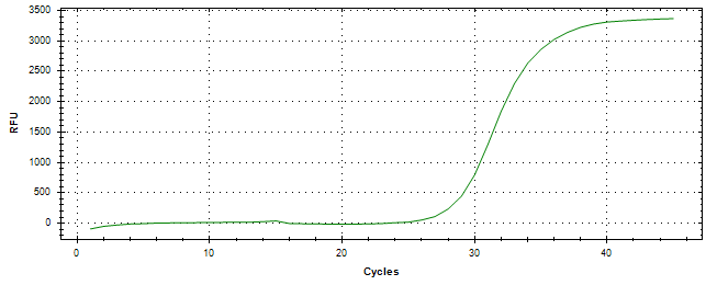 Amplification of cDNA generated from universal RNA.