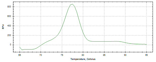 Melt curve analysis of above amplification.