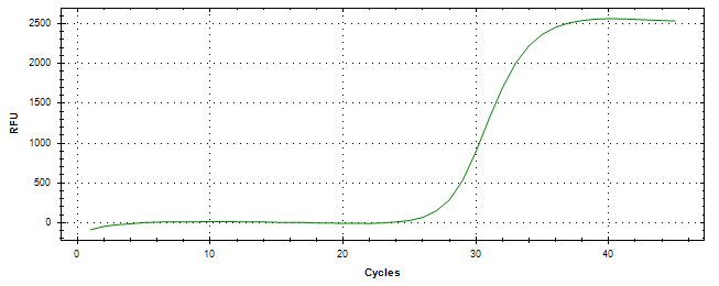 Amplification of cDNA generated from universal RNA.