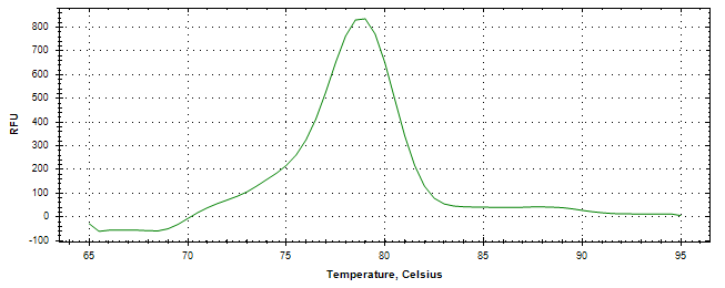 Melt curve analysis of above amplification.