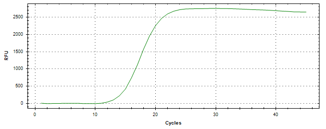 Amplification of cDNA generated from universal RNA.