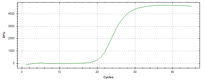 Amplification of cDNA generated from universal RNA.