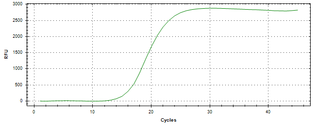 Amplification of cDNA generated from universal RNA.