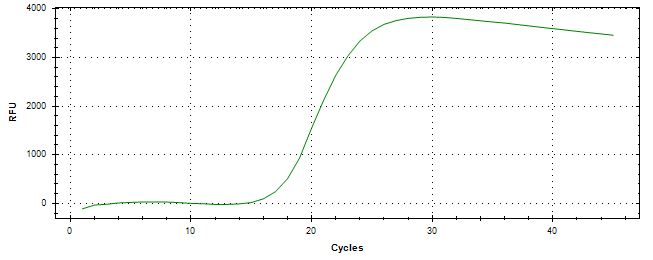 Amplification of cDNA generated from universal RNA.