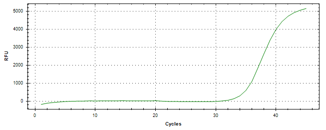 Amplification of cDNA generated from universal RNA.