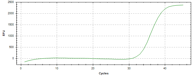 Amplification of cDNA generated from universal RNA.