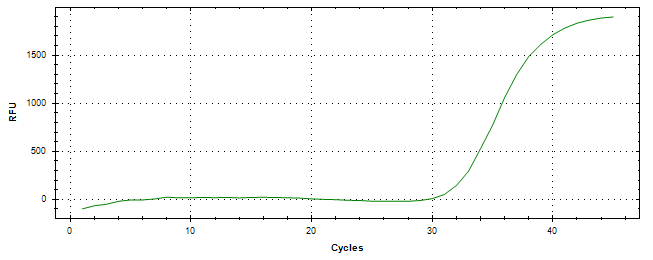 Amplification of cDNA generated from universal RNA.