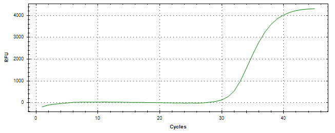 Amplification of cDNA generated from universal RNA.