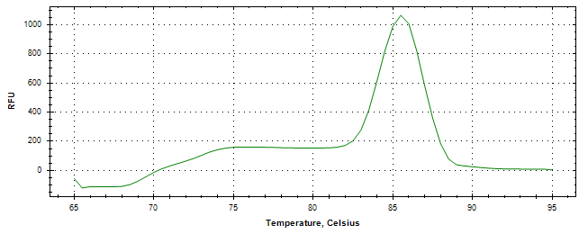 Melt curve analysis of above amplification.