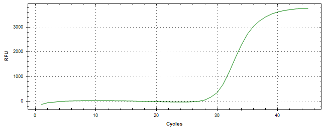 Amplification of cDNA generated from universal RNA.