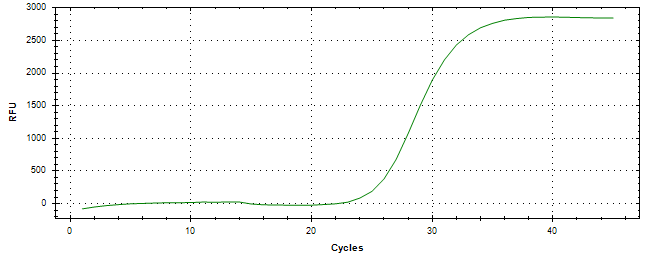 Amplification of cDNA generated from universal RNA.