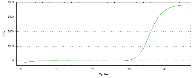 Amplification of cDNA generated from universal RNA.