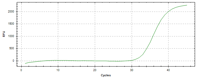 Amplification of cDNA generated from universal RNA.