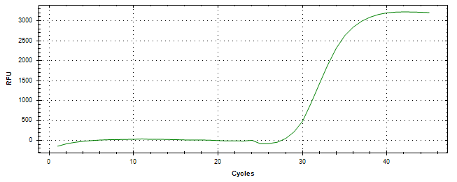 Amplification of cDNA generated from universal RNA.