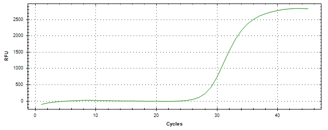 Amplification of cDNA generated from universal RNA.