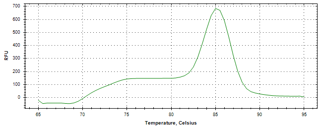 Melt curve analysis of above amplification.