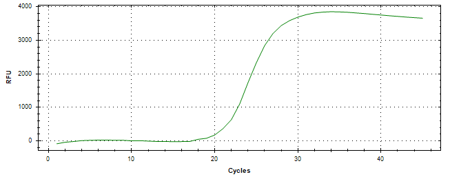 Amplification of cDNA generated from universal RNA.