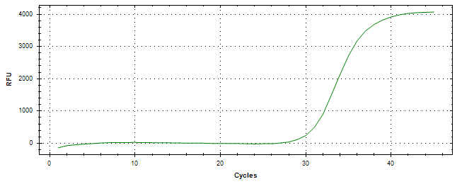 Amplification of cDNA generated from universal RNA.