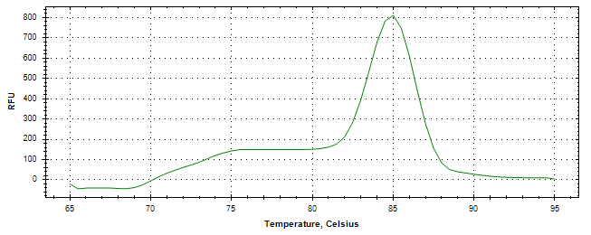 Melt curve analysis of above amplification.