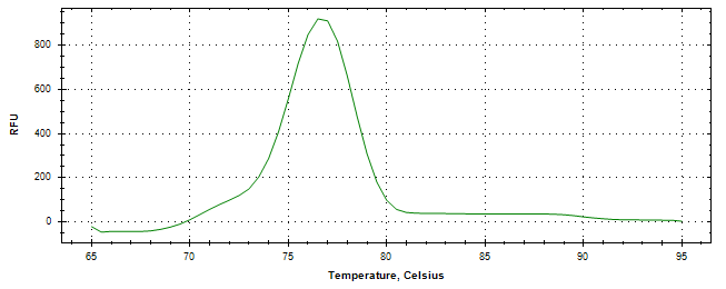 Melt curve analysis of above amplification.