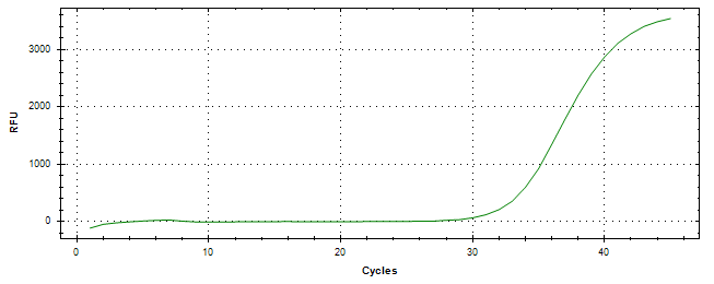 Amplification of cDNA generated from universal RNA.