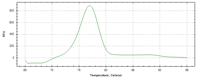 Melt curve analysis of above amplification.